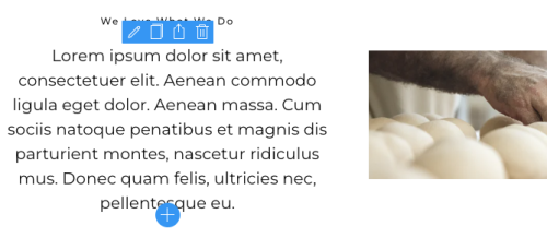tekst formater